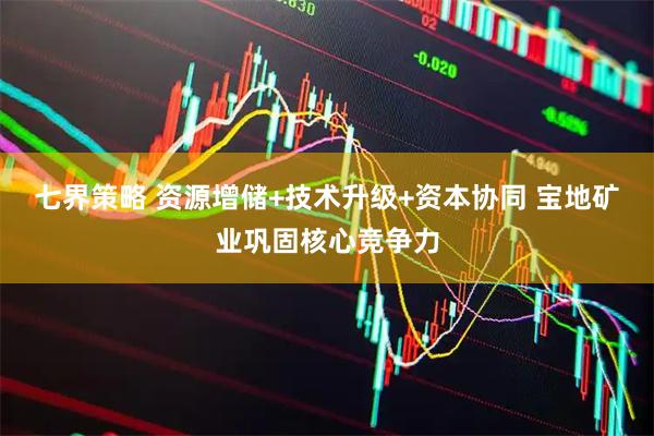 七界策略 资源增储+技术升级+资本协同 宝地矿业巩固核心竞争力
