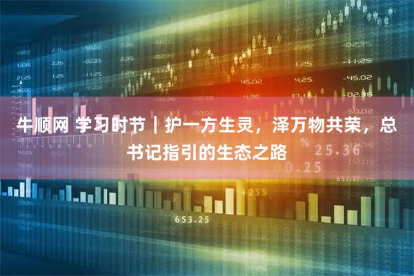牛顺网 学习时节｜护一方生灵，泽万物共荣，总书记指引的生态之路