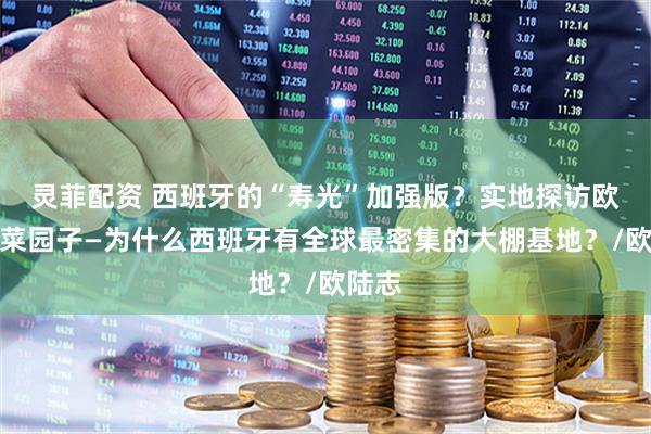 灵菲配资 西班牙的“寿光”加强版？实地探访欧洲的菜园子—为什么西班牙有全球最密集的大棚基地？/欧陆志
