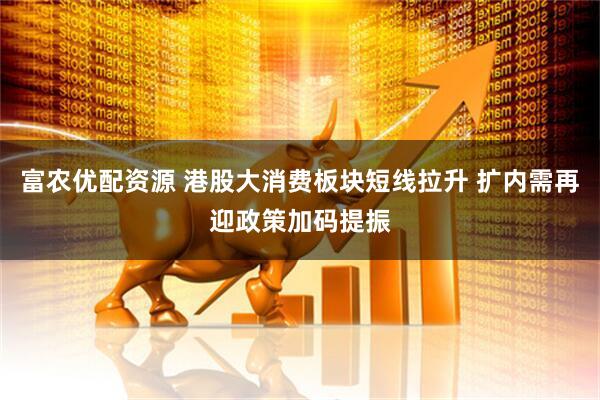 富农优配资源 港股大消费板块短线拉升 扩内需再迎政策加码提振