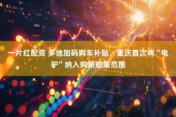 一片红配资 多地加码购车补贴,重庆首次将“电驴”纳入购新政策范围