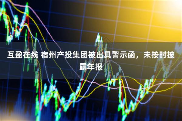 互盈在线 宿州产投集团被出具警示函，未按时披露年报